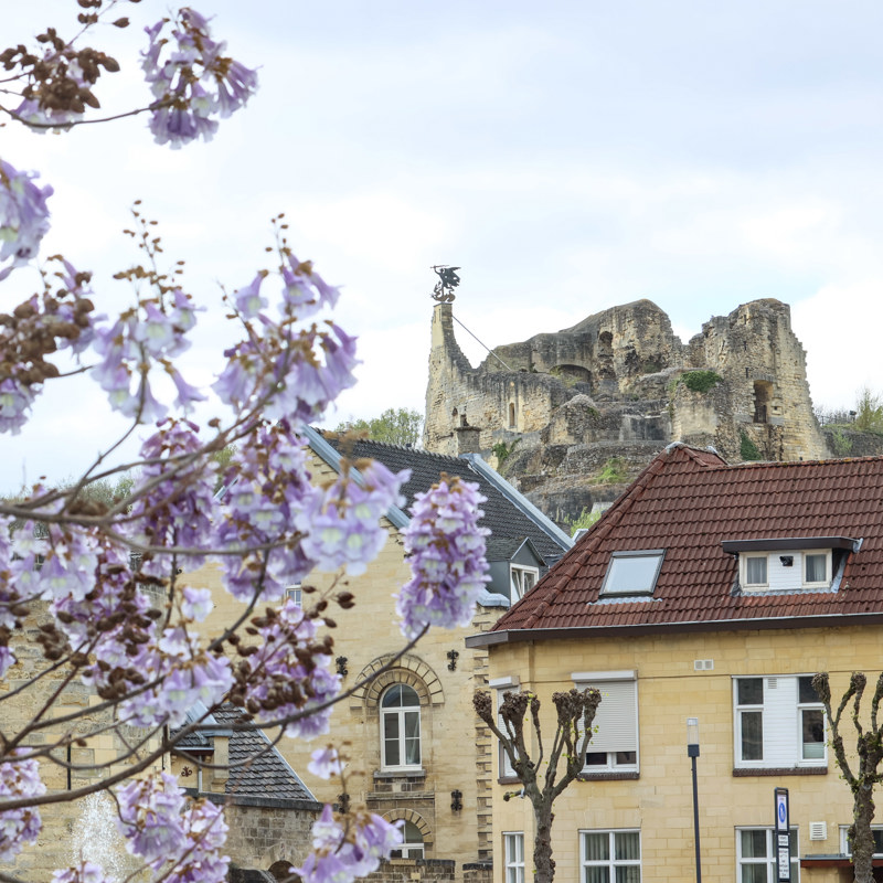Blik Op Kasteelruine Valkenburg aan de Geul