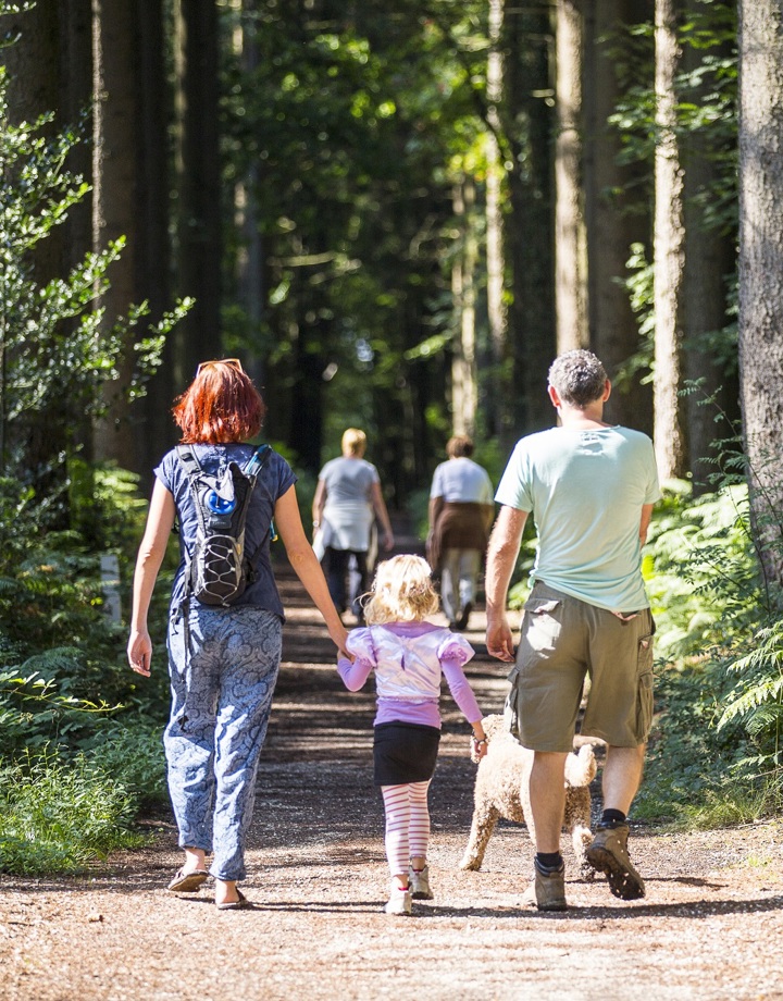 Een familie wandeling met dochtertje en hond door het Vijlenerbos
