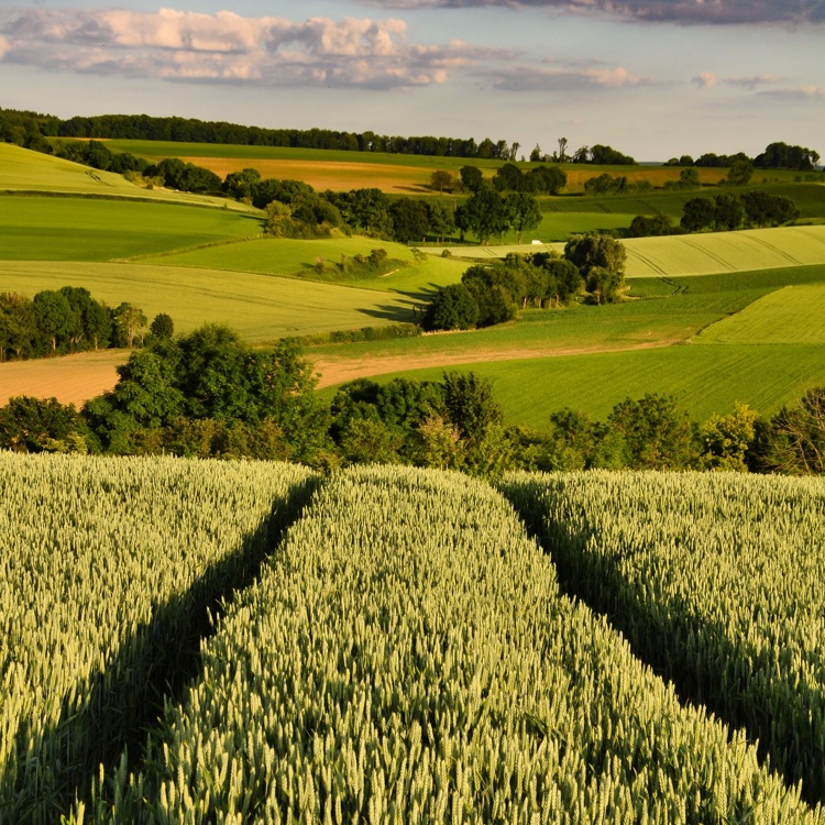 Uitzicht van het glooiende landschap bij Fromberg