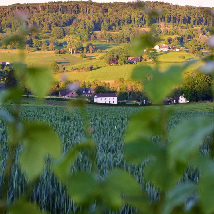 Een doorkijkje op een zonnig Heuvellandschap 