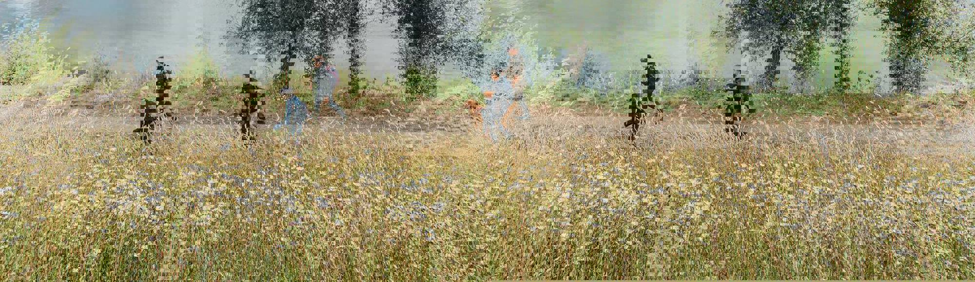 Een groepje mensen wandelt langs de Maas door Rivierpark Maasvallei