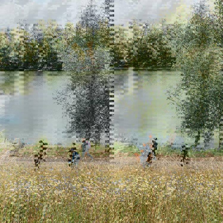 Een groepje mensen wandelt langs de Maas door Rivierpark Maasvallei