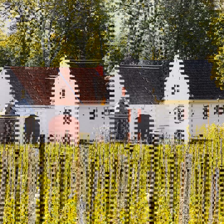 De wijnstokken van wijndomein St. Martinus pronken voor de kasteelhoeve van Château St. Gerlach