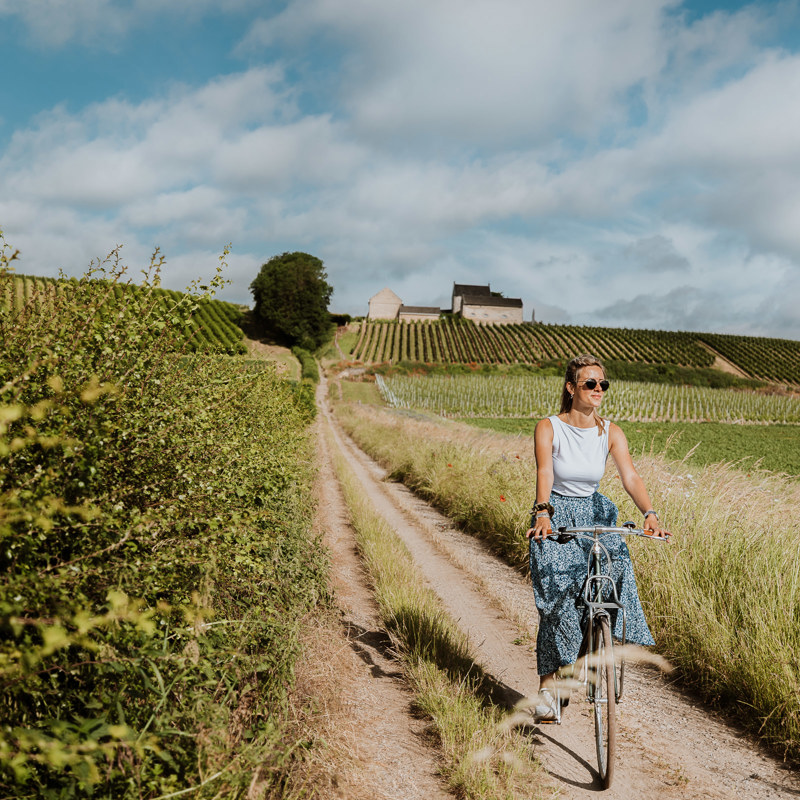 Een vrouw fiets op een zomerse dag de berg naar beneden langs de wijnranken van de Apostelhoeve