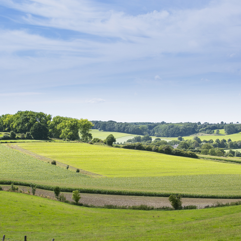Sfeerfoto van een Glooiend heuvellandschap en blauwe lucht
