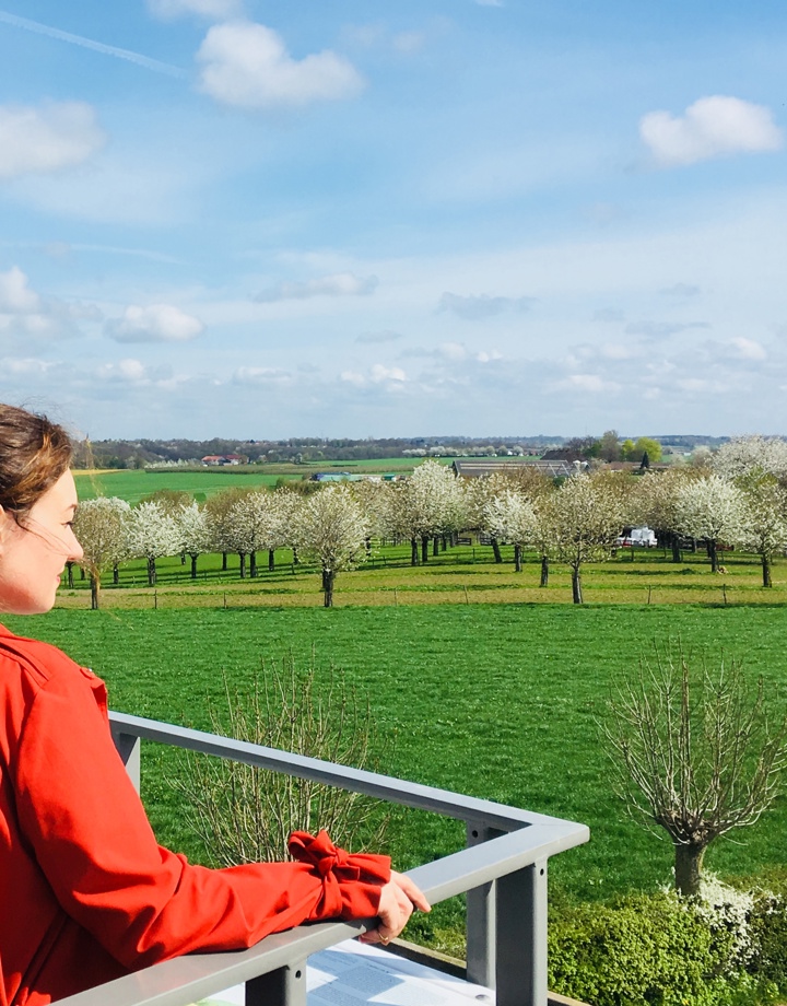 Dame in rood jasje kijkt vanaf uitkijkpunt uit op een heide vol bomen.
