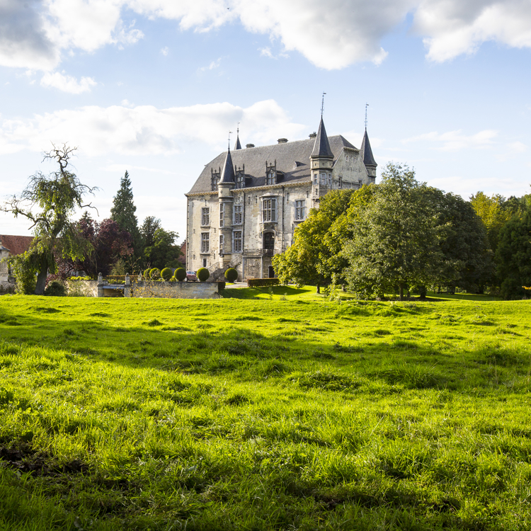 Grasveld met in het midden een kasteel. 