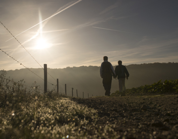 Twee wandelaars die over een pad de zonsopkomst in de winter tegemoet lopen