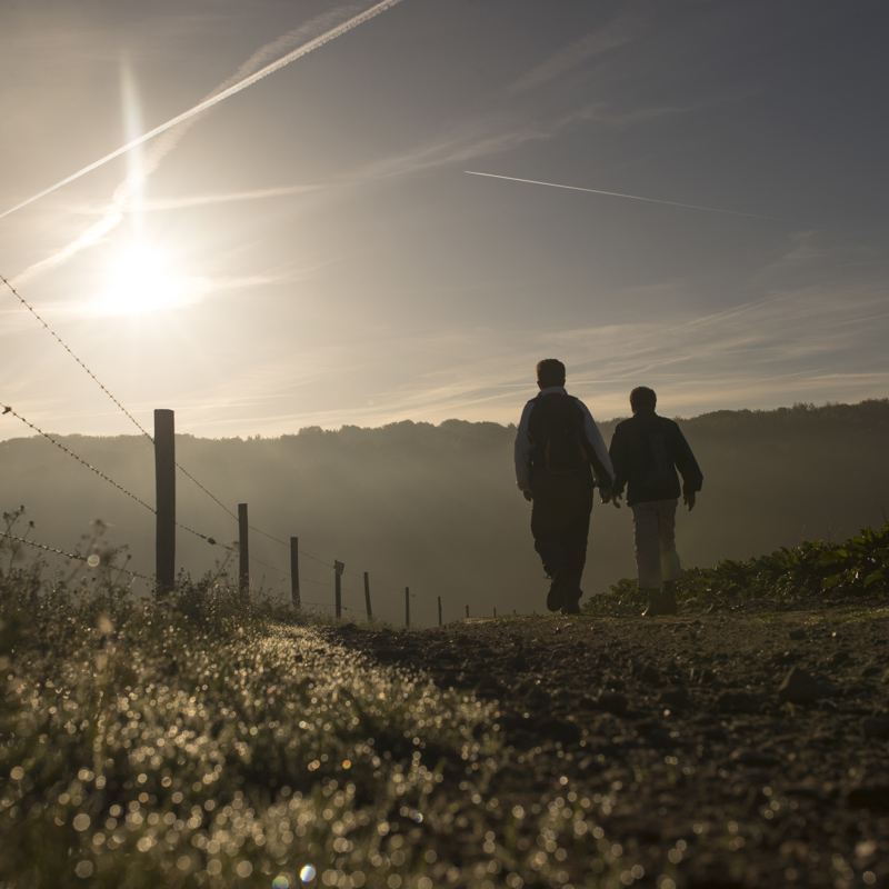 Twee wandelaars die over een pad de zonsopkomst in de winter tegemoet lopen