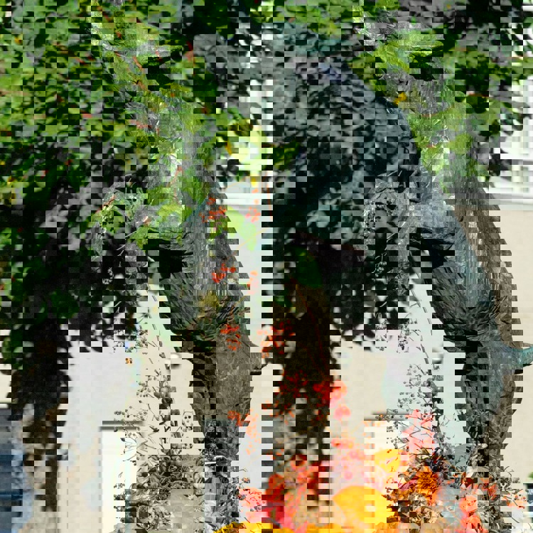 Bronzen beeld van steigerende bok versierd met herfststukje