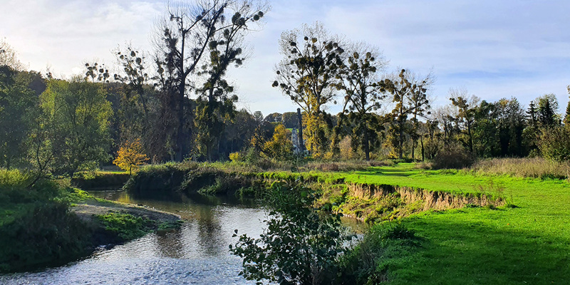 De geul met in de verte bomen met maretak in natuurgebied Ingendael