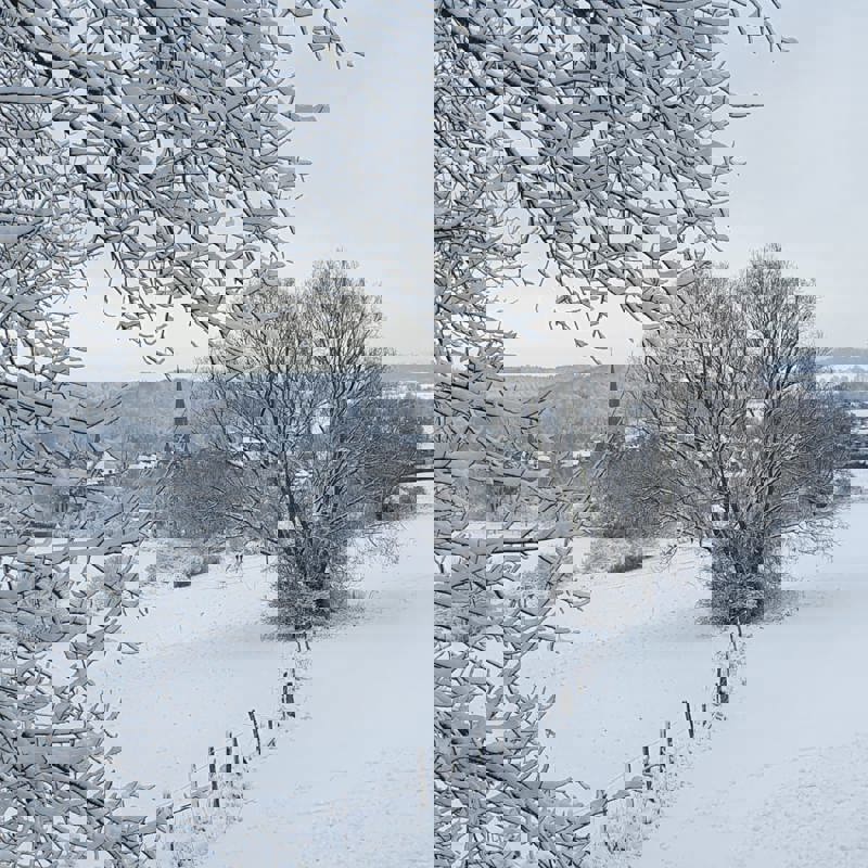 Winters sneeuwlandschap met uitzicht op een dorpje met kerk. 