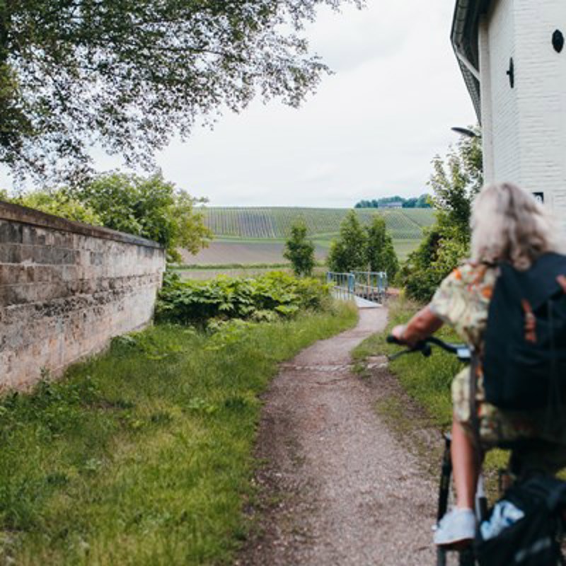 Dame fietst over een klein kronkelend fietspad richting het Limburgse landschap. 