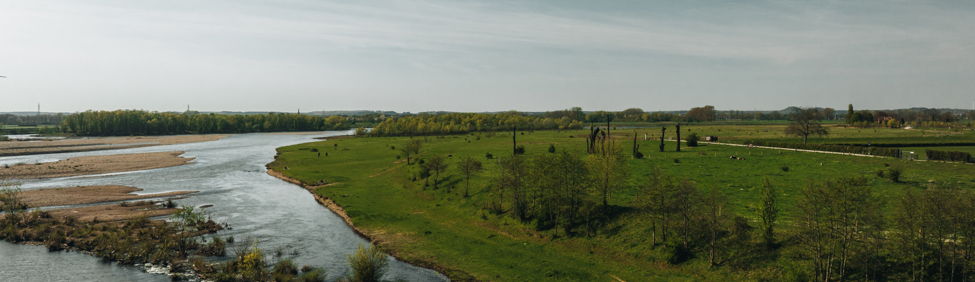 Uitzicht over de Maas en de bomen van de Woodhenge bij Meers