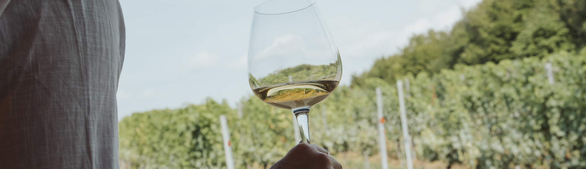 Een vrouw staat voor een wijngaard met een witte wijn in haar hand