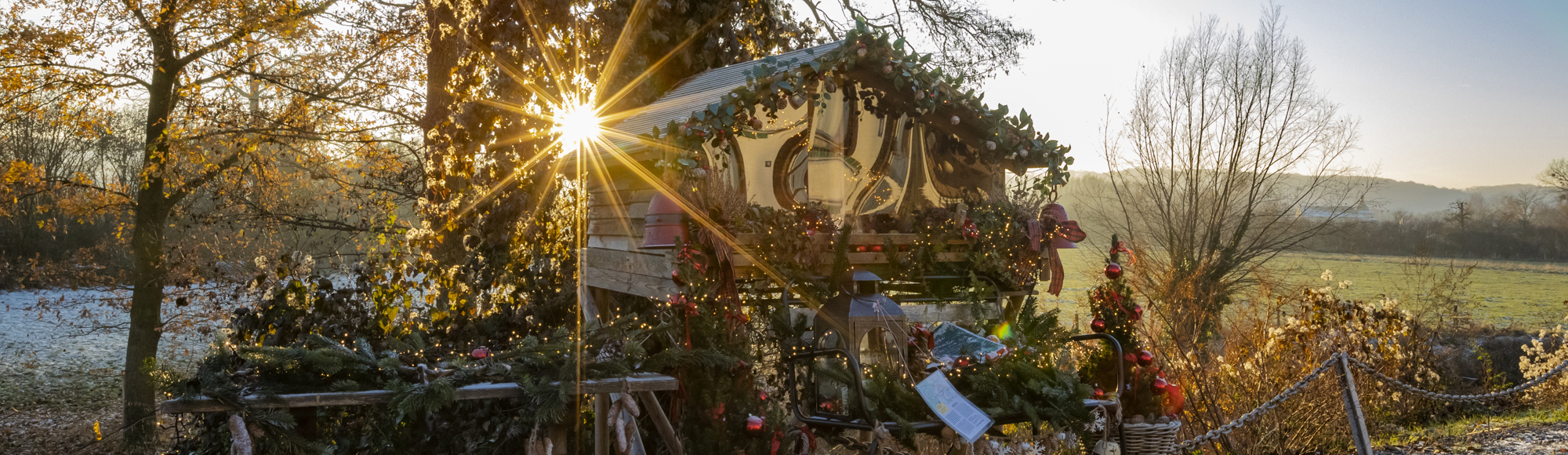 Grote kerststal voor bomen waar zon doorheen schijnt in Zuid-Limburgs winters landschap