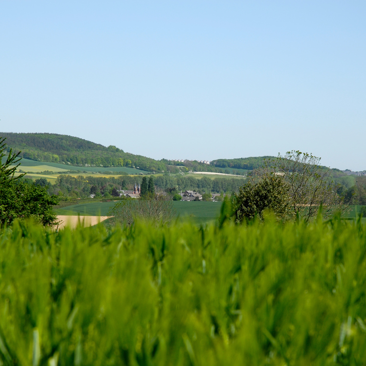 Uitzicht Over Mamelis