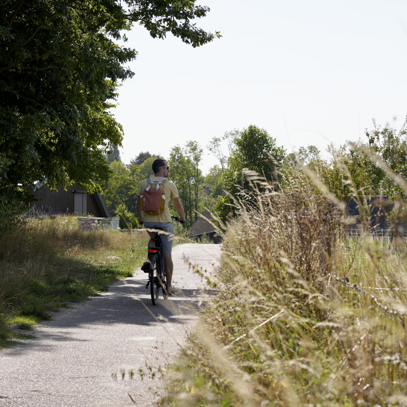 Parkstadroute tussen hoog gras