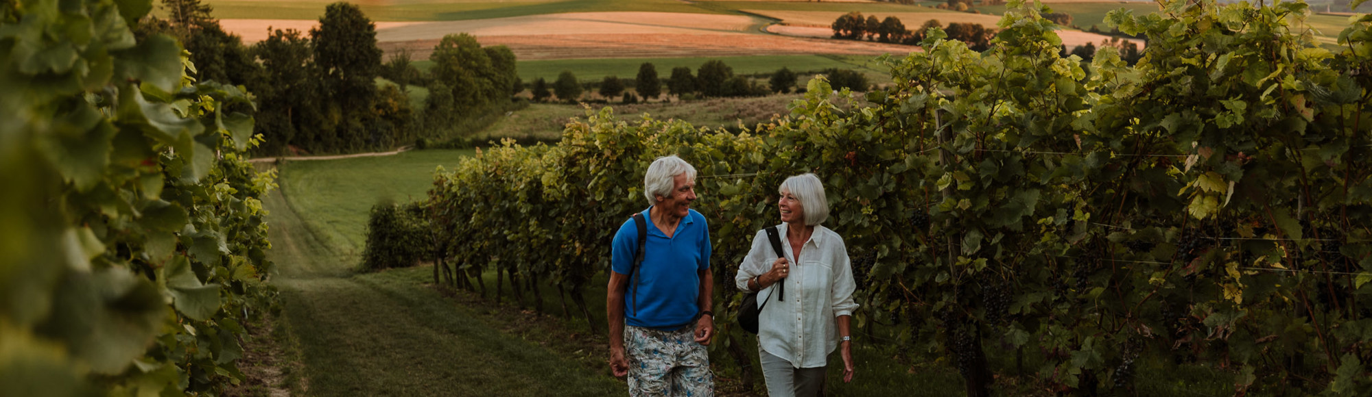 Een man en vrouw lachen naar elkaar in de wijngaard van Wijngoed Fromberg tijdens zonsondergang