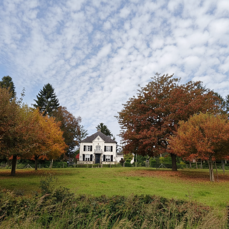 Kasteel met bomen in de voorgrond in herfstkleur