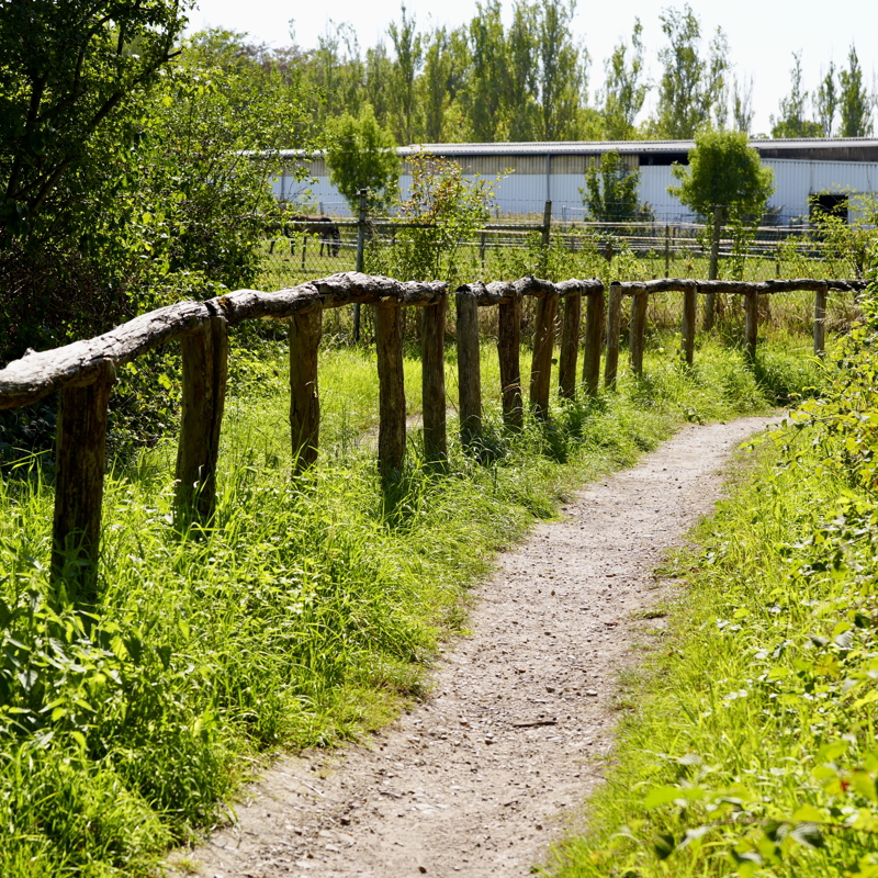 Kronkelend wandelpad met hek