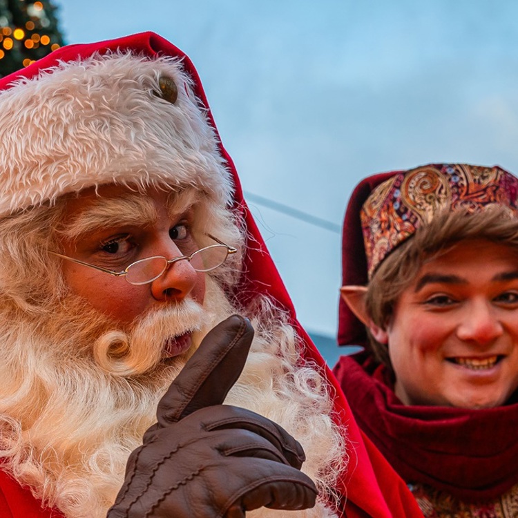 kerstman en elf met kerstboom en kerstversiering eromheen 