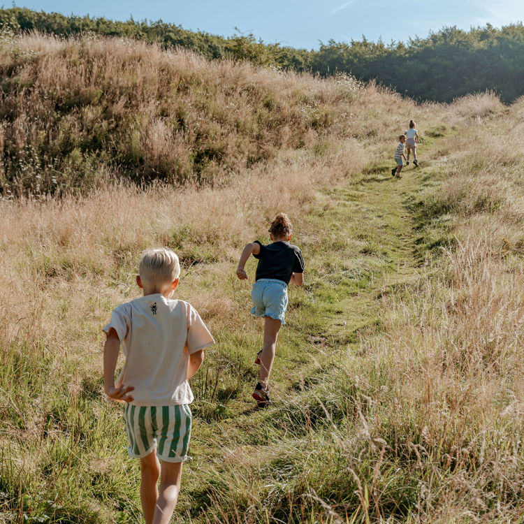 Kinderen rennen op een zomerse dag achter elkaar de heuvel op. 