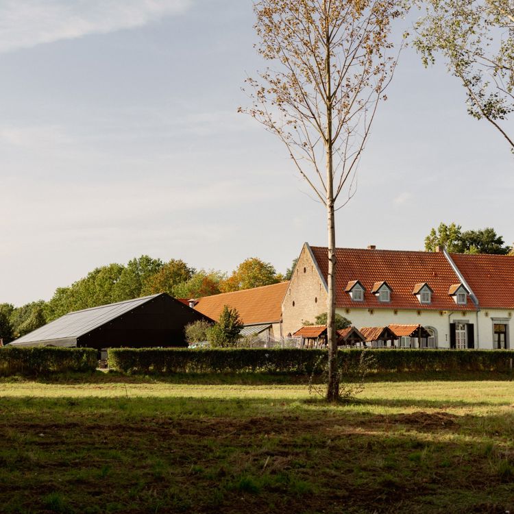 Carréboerderij in de verte achter een groene heg, genomen tijdens een zomeravond met laagstaande zon. 