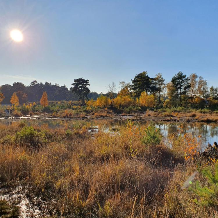 Open heideveld met water en herfstkleuren met zon