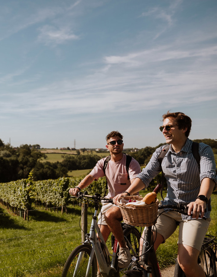 Twee jongemannen fietsen langs de wijngaarden in Meerssen