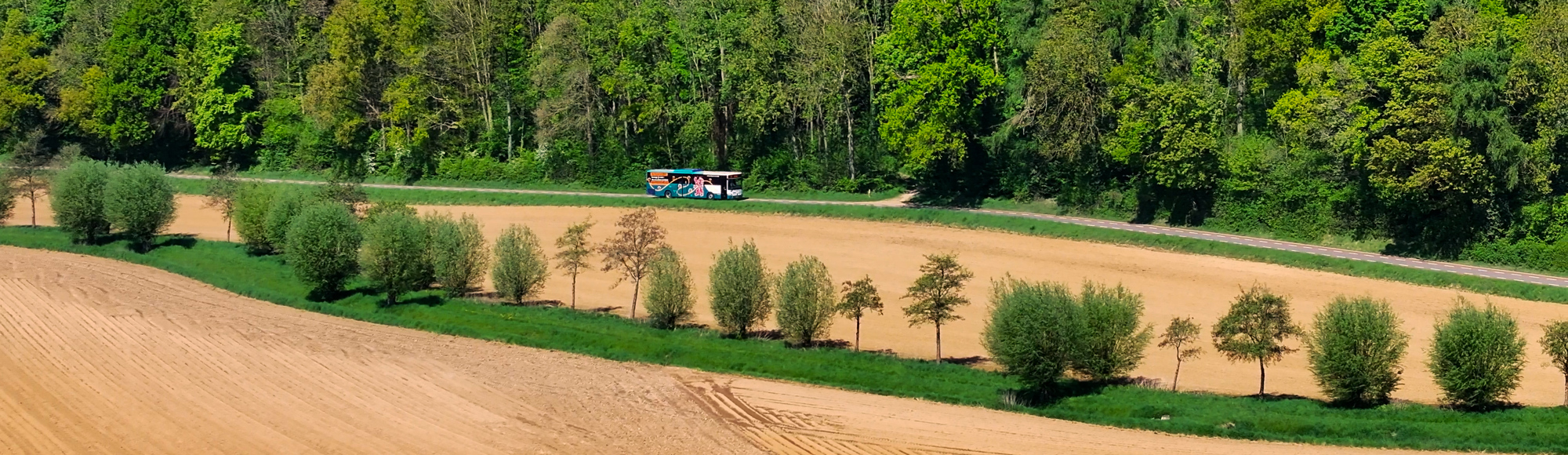 Bus van Arriva in het Heuvelland langs het Vjlenerbos