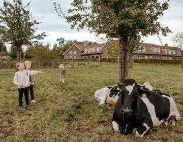 Kinderen spelen in een wei met koeien.