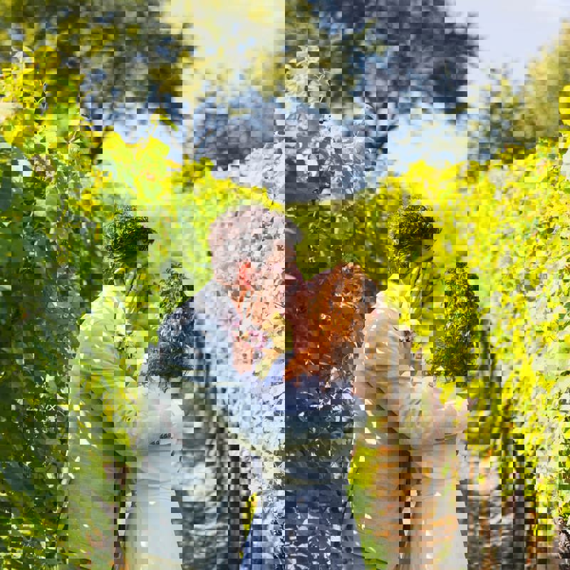 Bruidspaar geeft elkaar een kus tussen de wijnranken in zuid-limburg