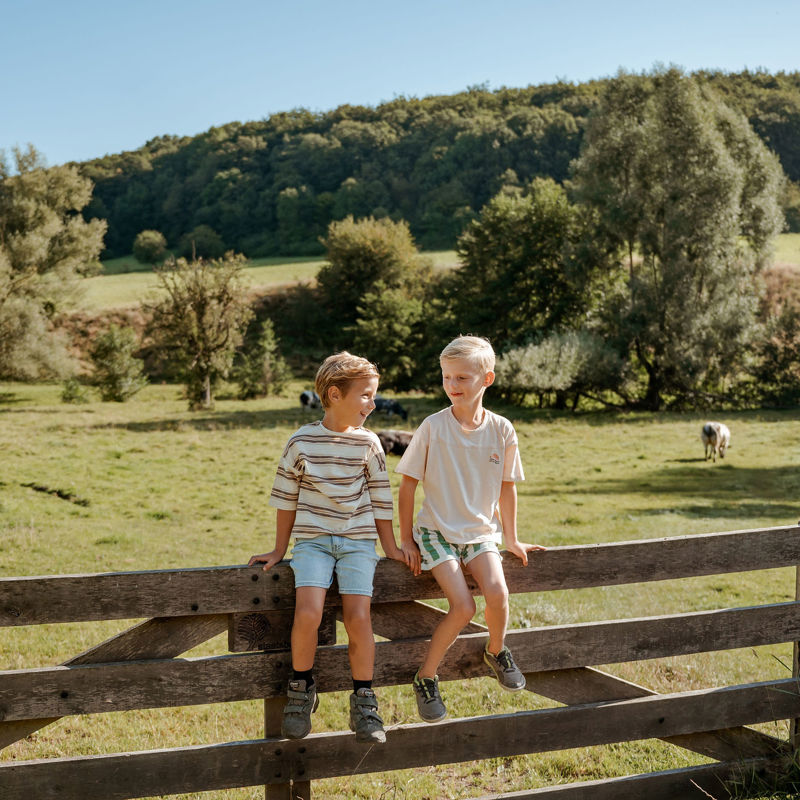 Twee jongetjes op een hek voor een weiland met koeien met heuvels en bos op de achtergrond