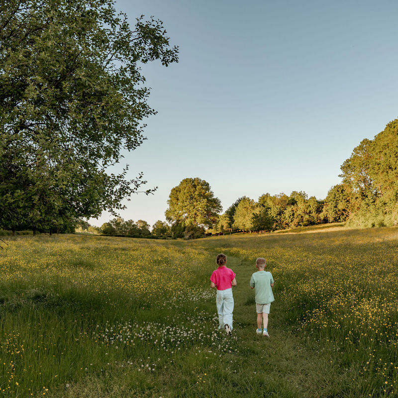 Twee kinderen aan het wandelen in een weiland met bloemen