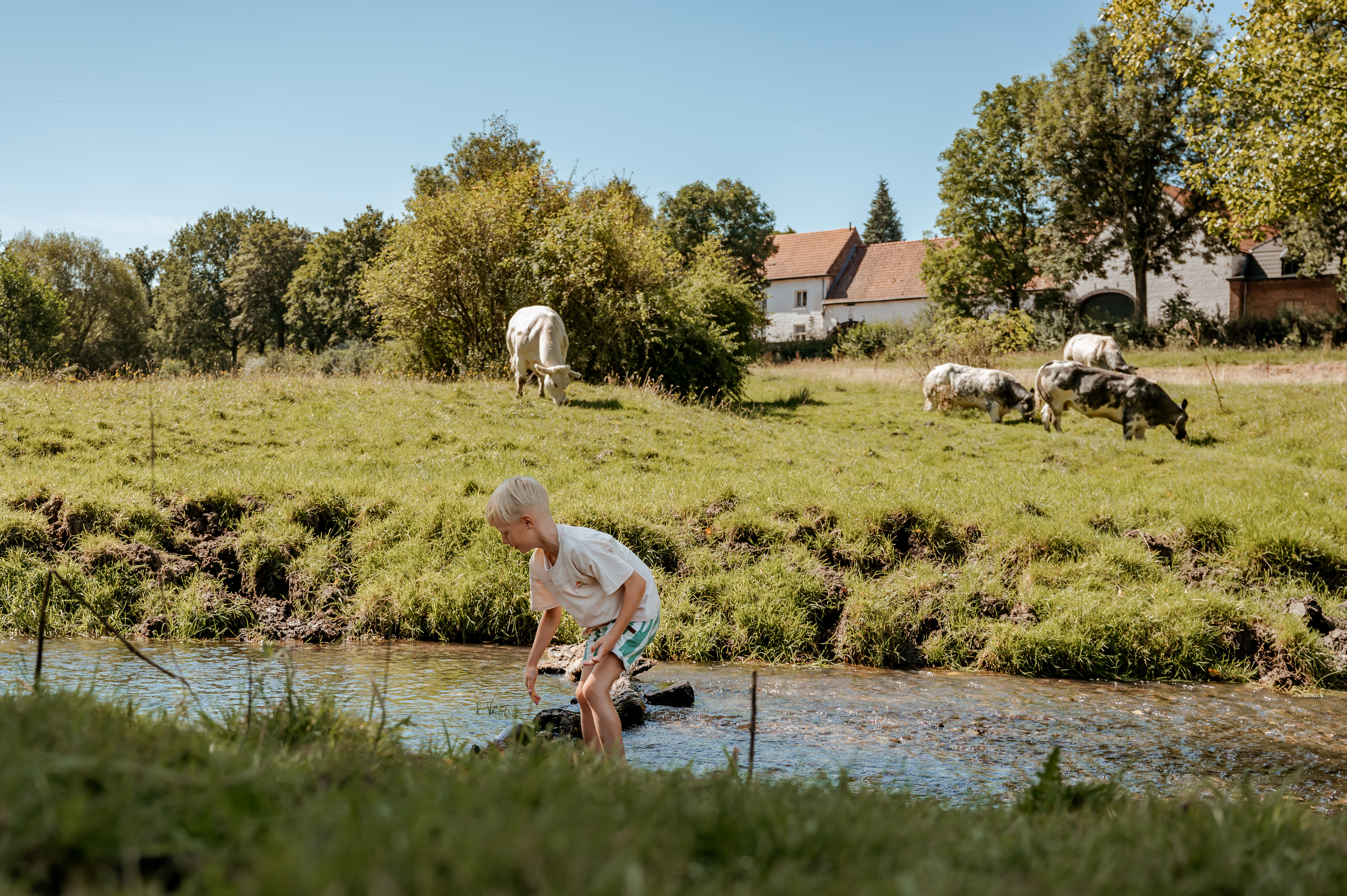 Wandelroute Langs groen en blauw in het Gulpdal - Slenaken