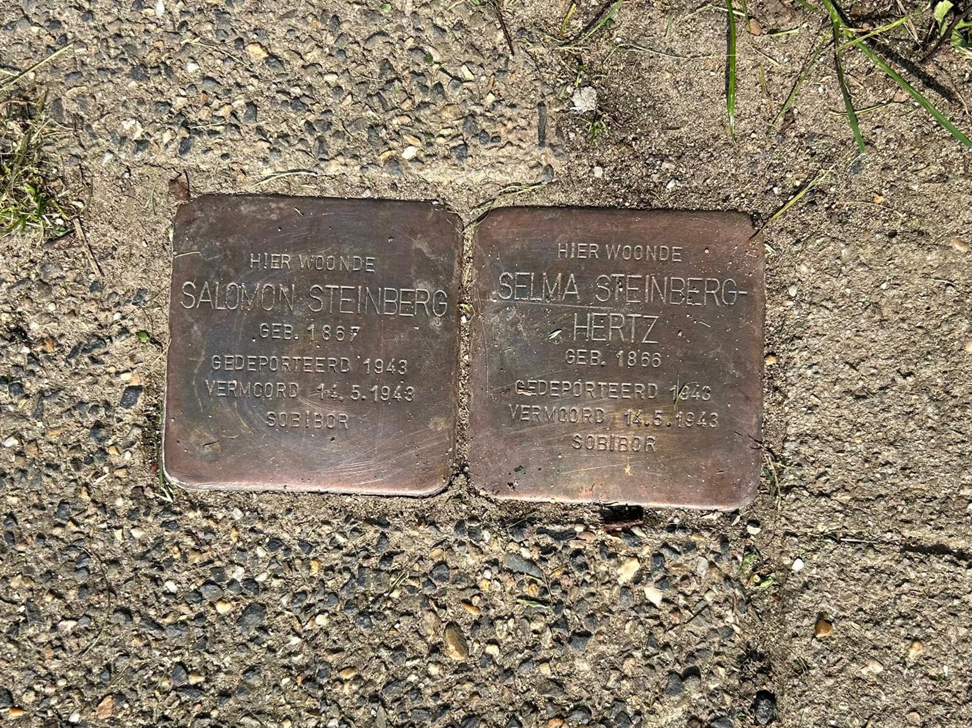 Stolpersteine familie Steinberg
