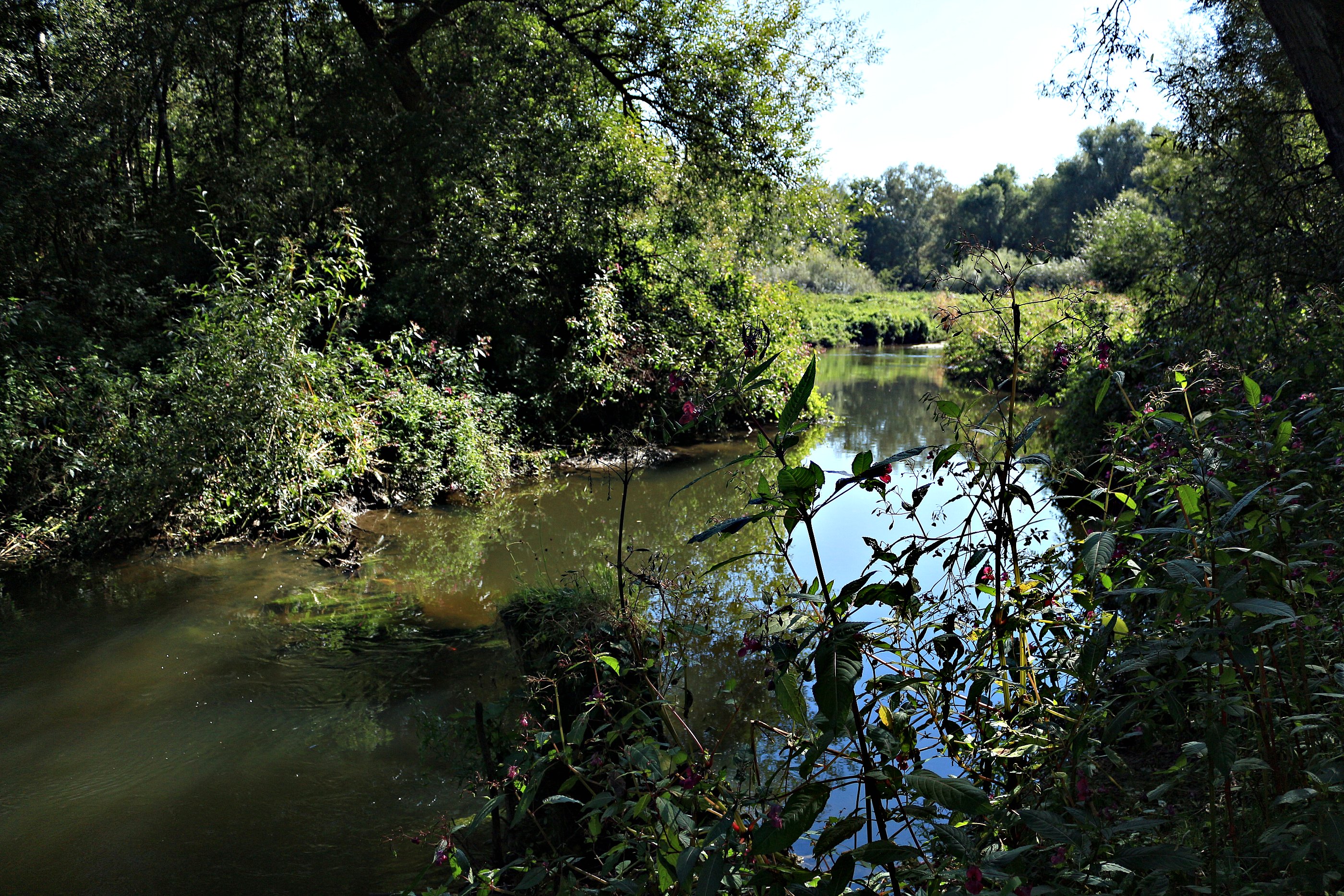 Eygelshoven, wanderoutes vol verrassingen - rondje 3