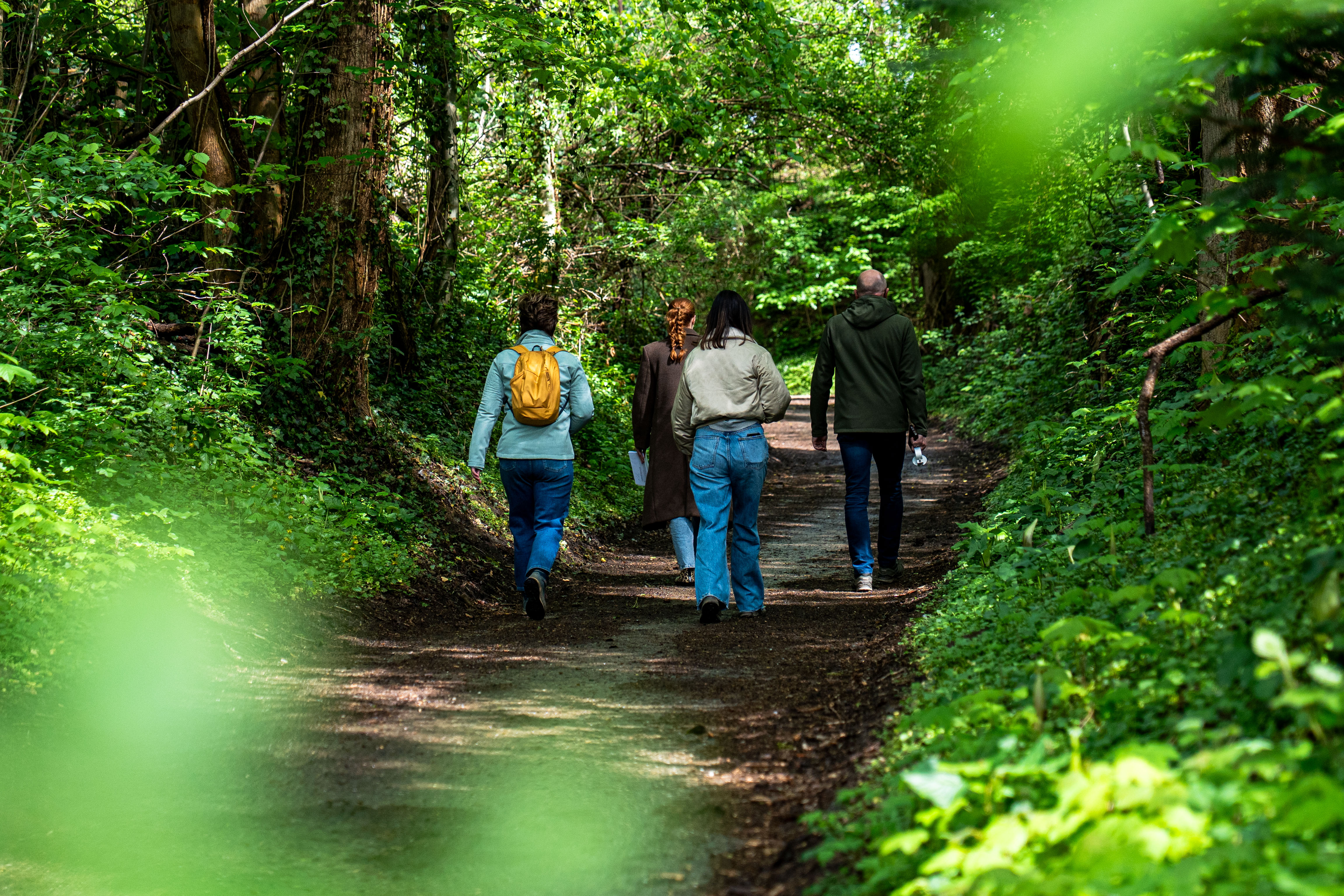 Ontspan, ervaar en verbind – tijdens de unieke MindWalk Watersley