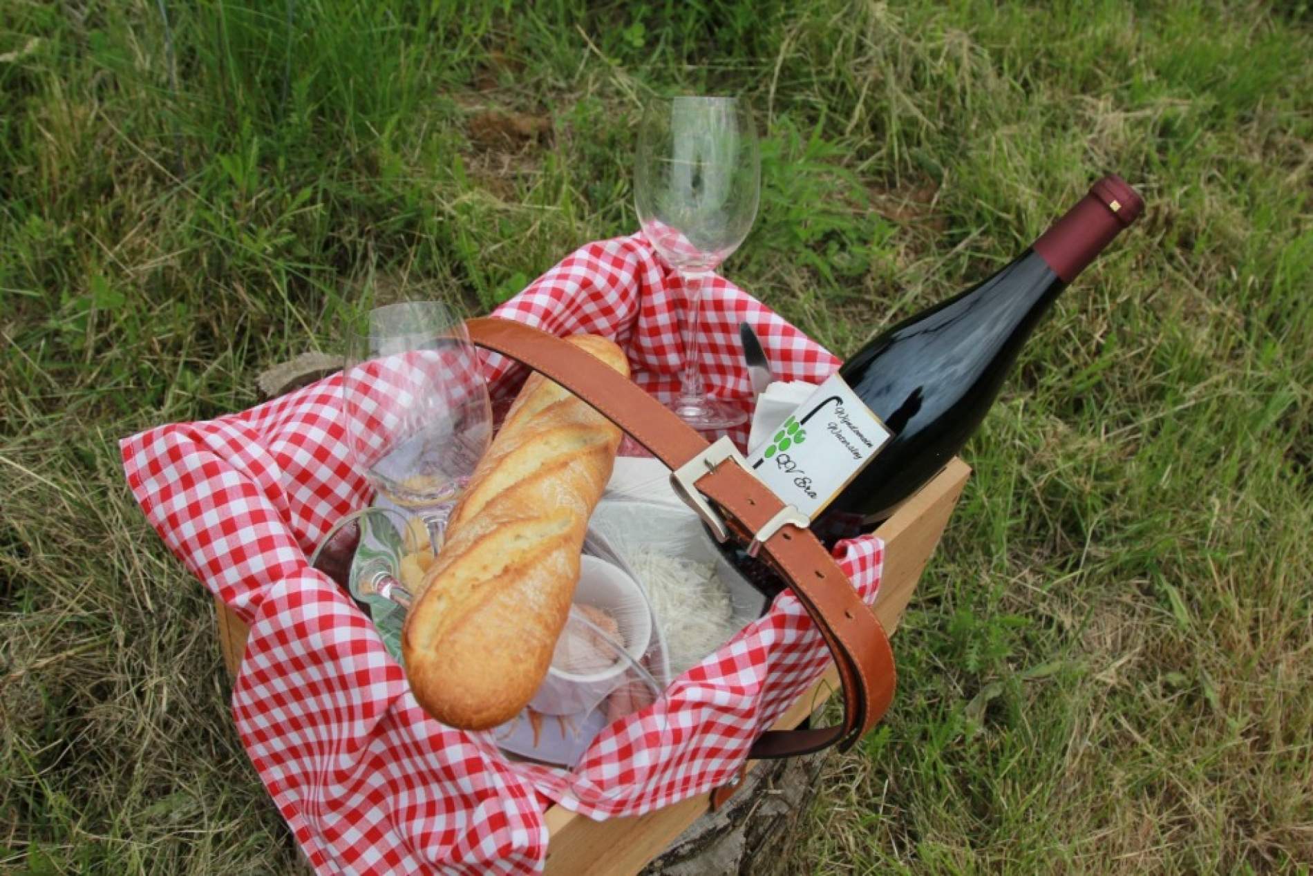 Picknick bij Wijndomein Watersley