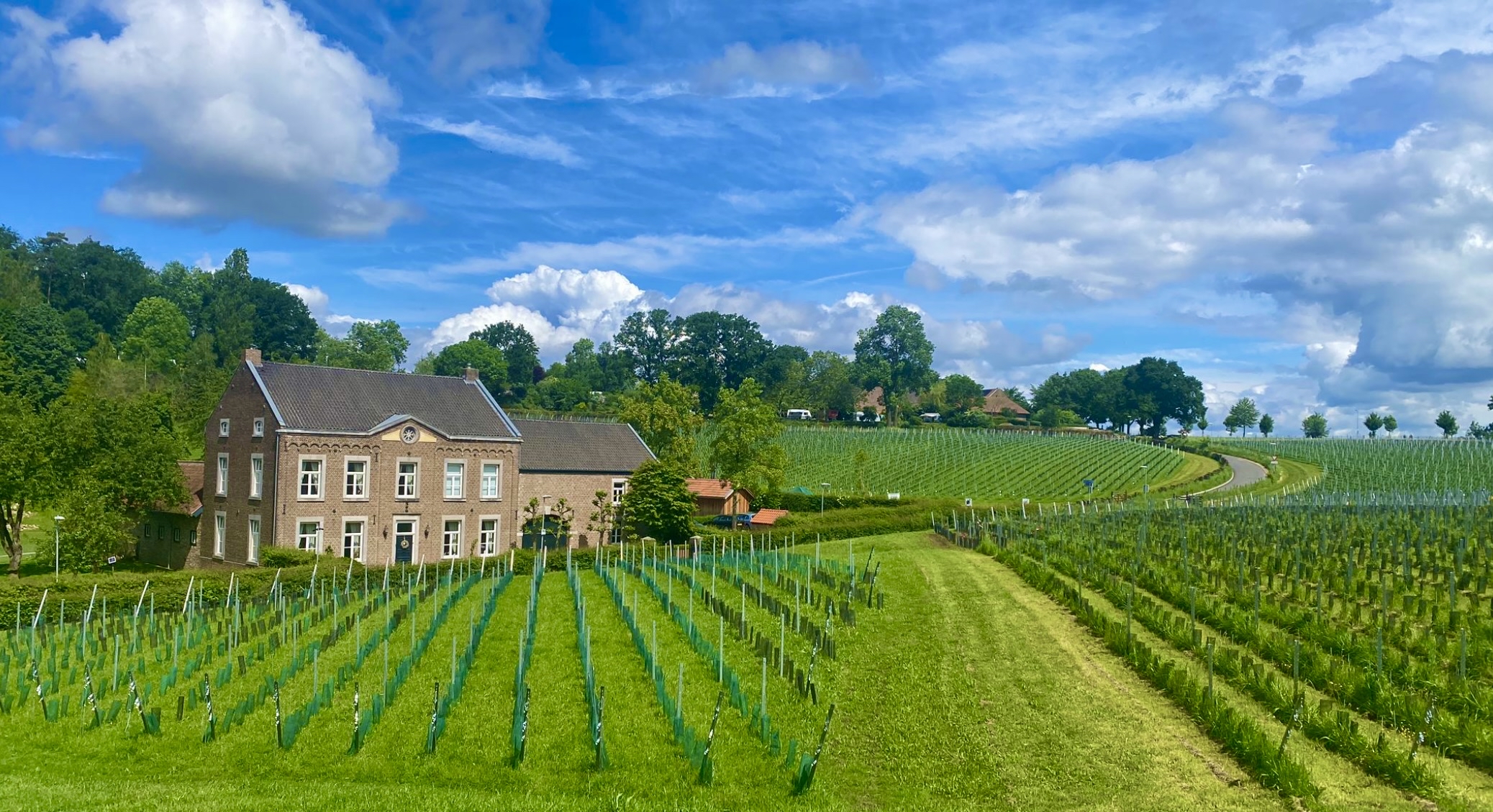 Sterreheim Wijnlandgoed