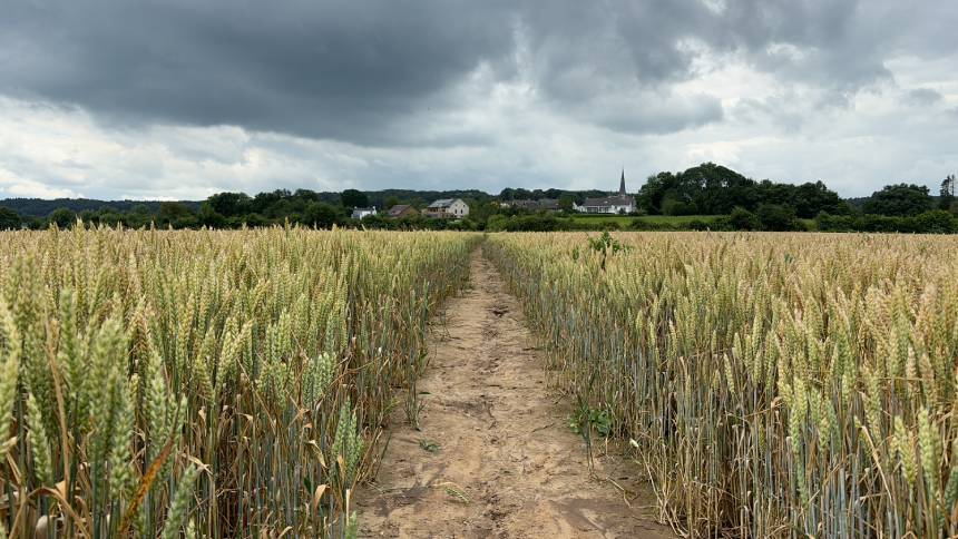 Streekproducten van Zuid-Limburgse bodem