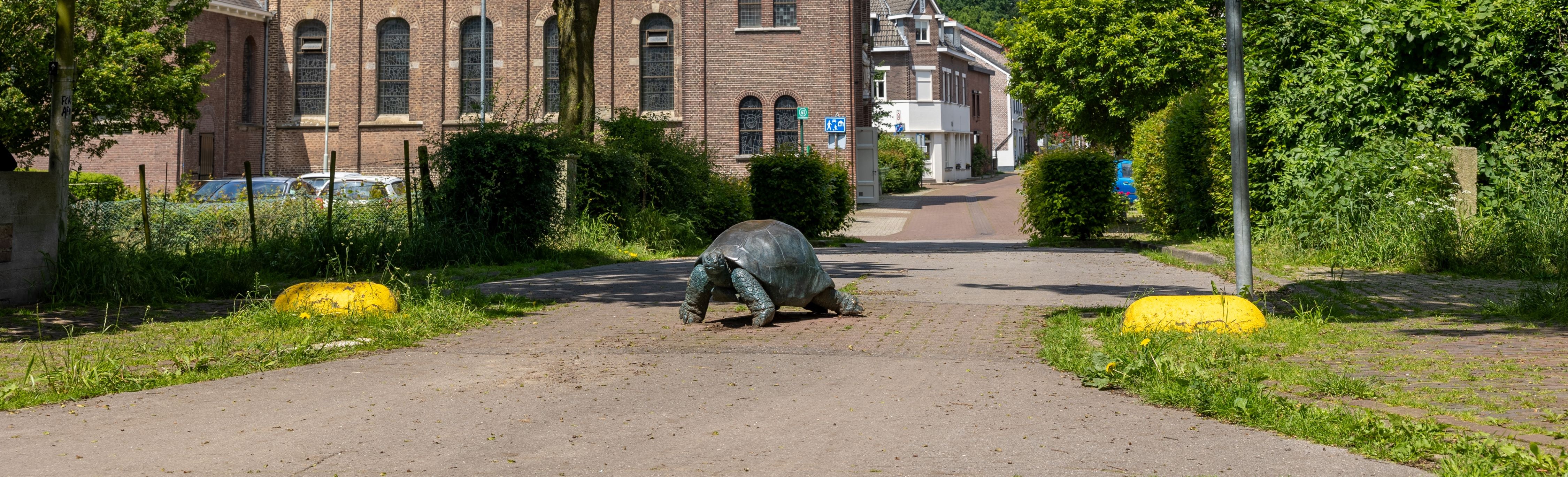 Schildpadden Ubach over Worms/Rimburg