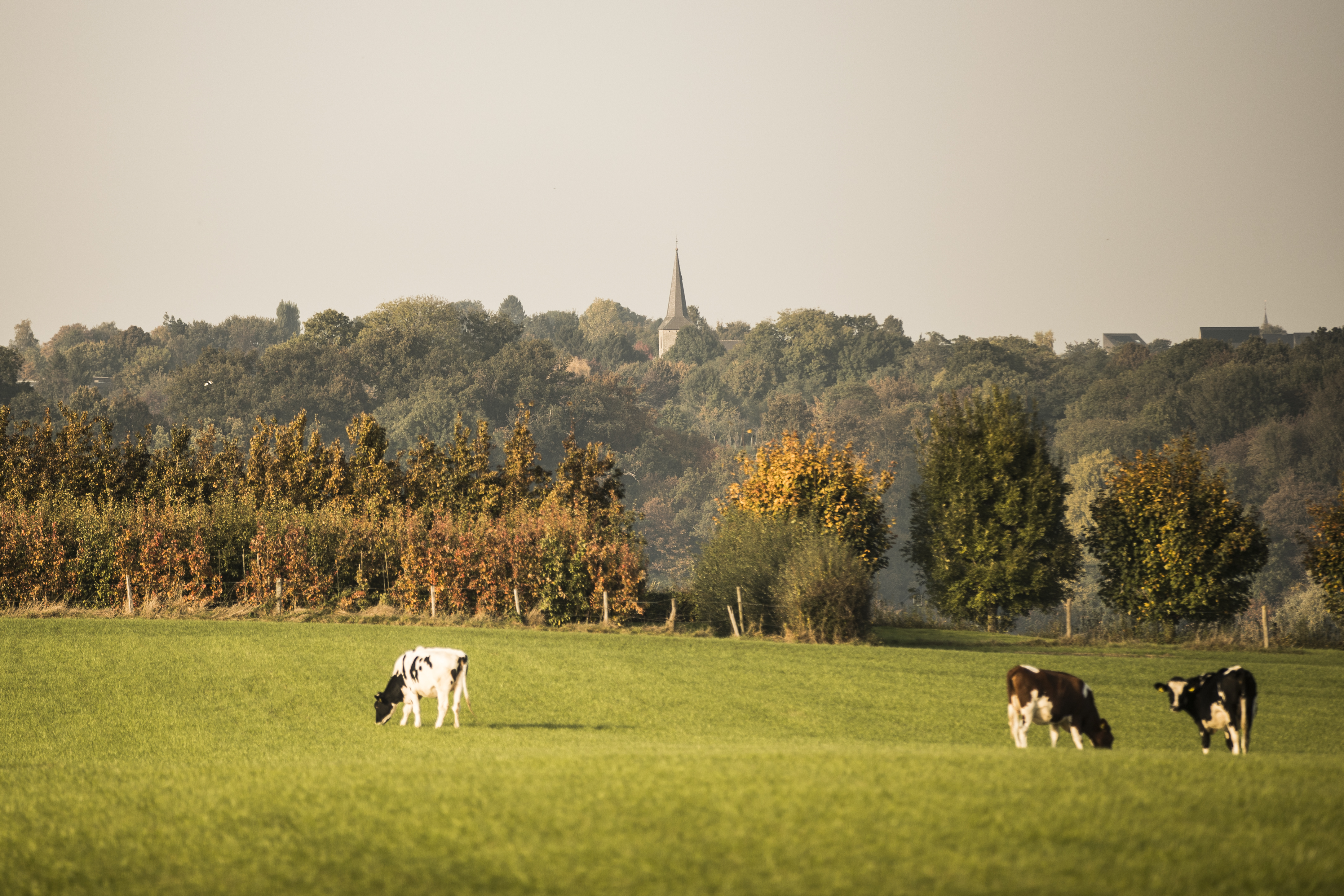 Vakwerkwandeling Sint Geertruid