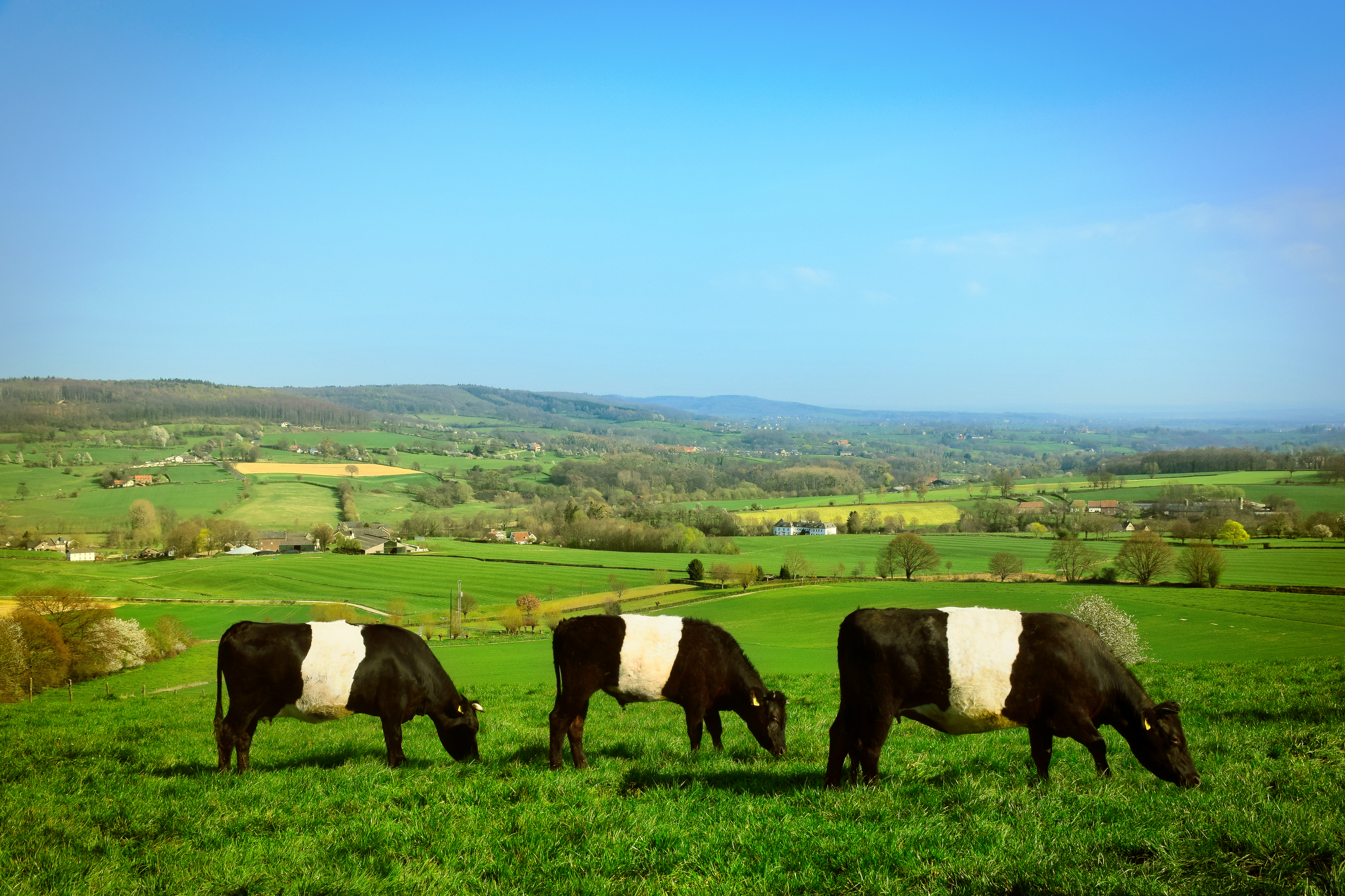 Kamperen op Camping Oosterberg