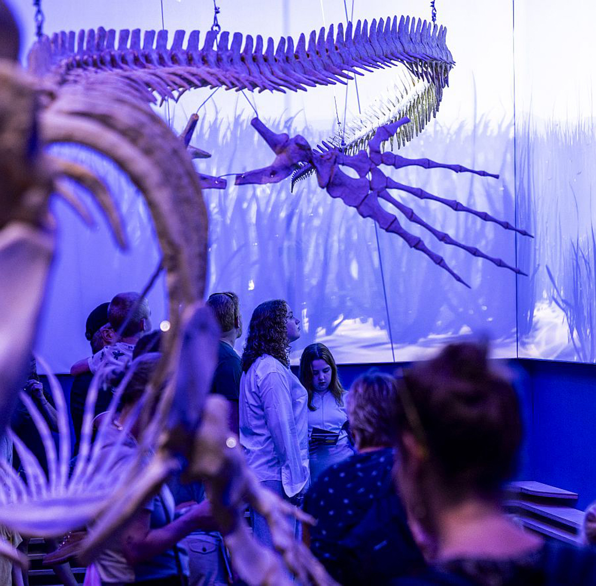 Zomervakantie in het Natuurhistorisch Museum Maastricht