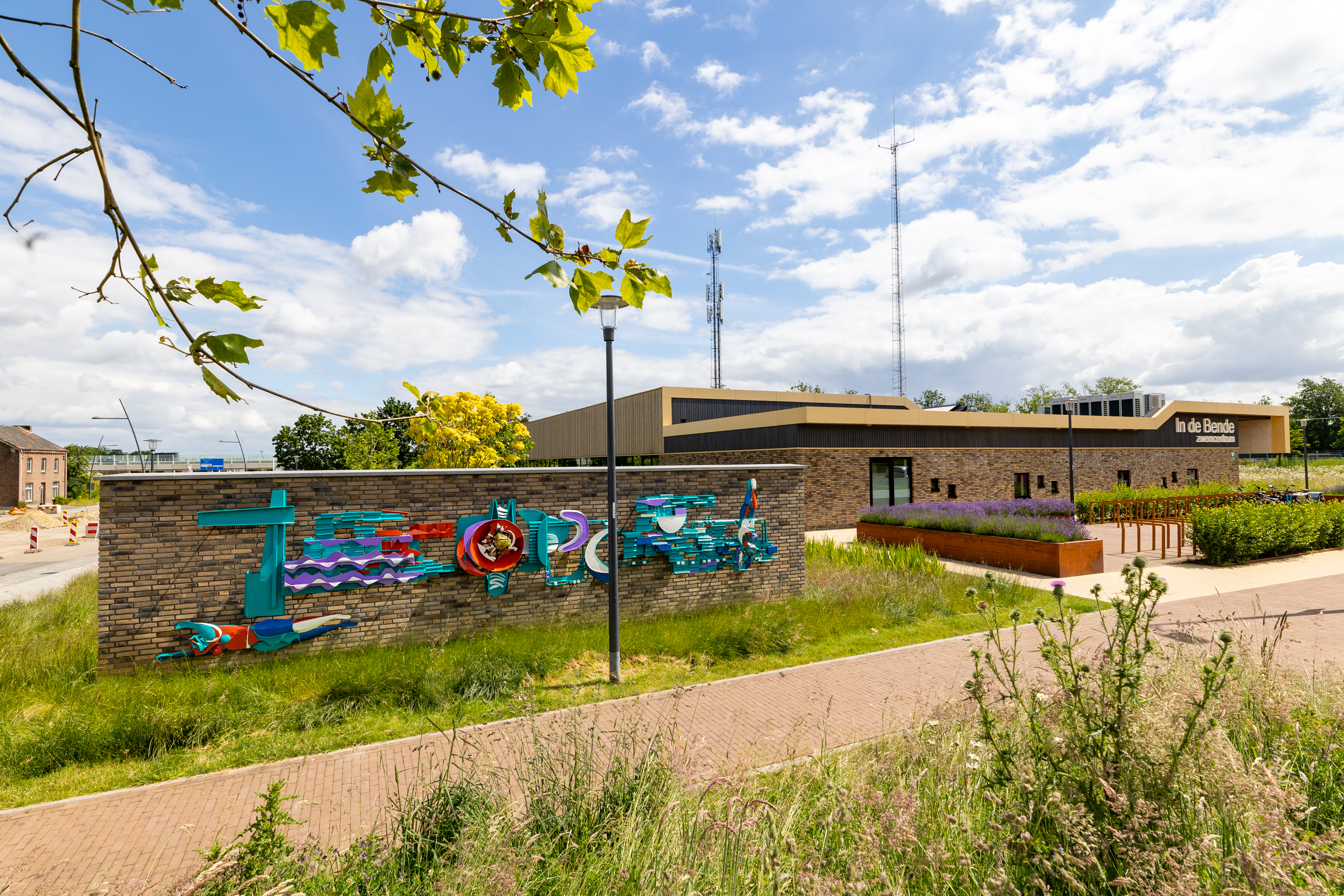 Wandplastiek Zwembad In de Bende Nieuwenhagen
