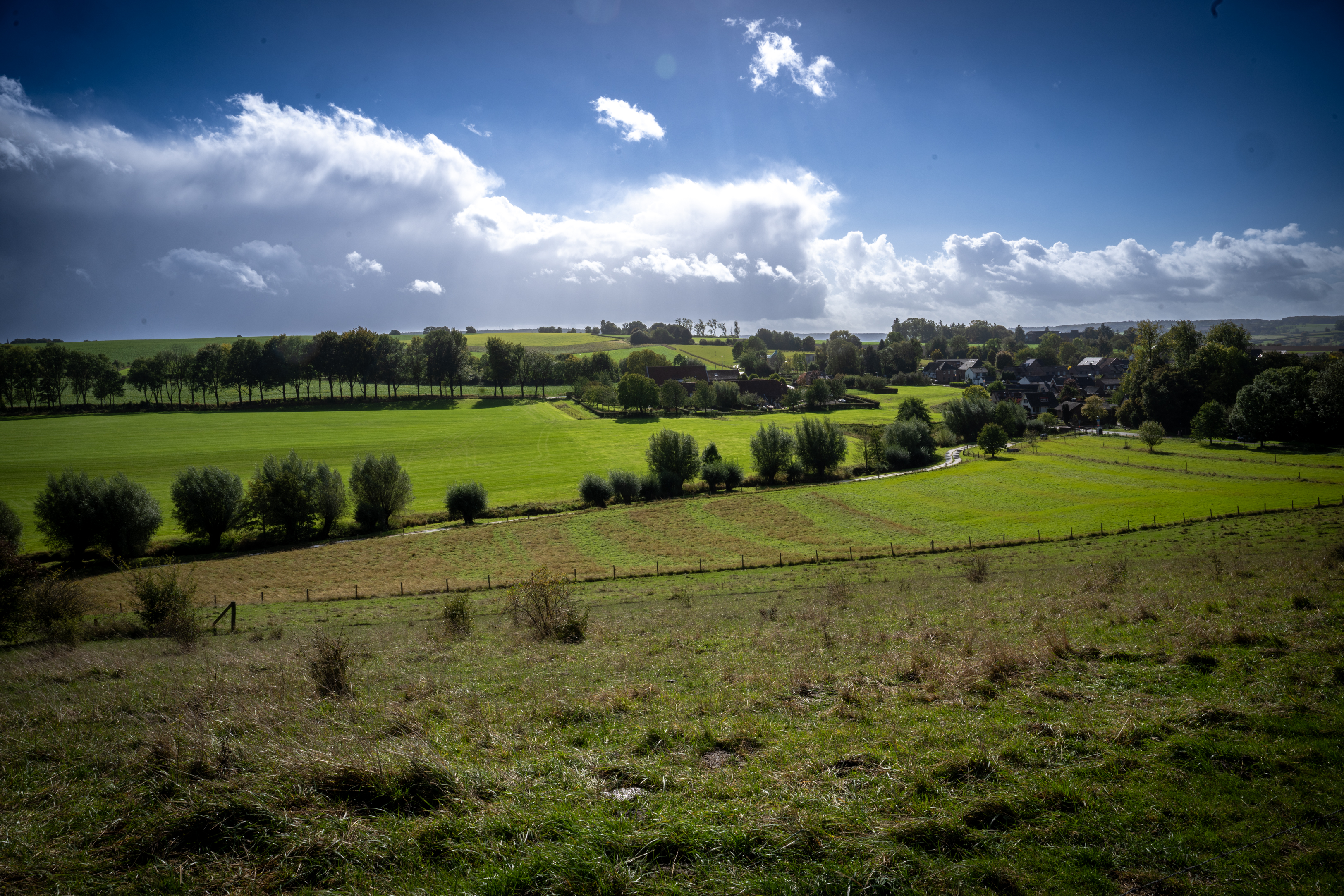 Limburg Wine Walk