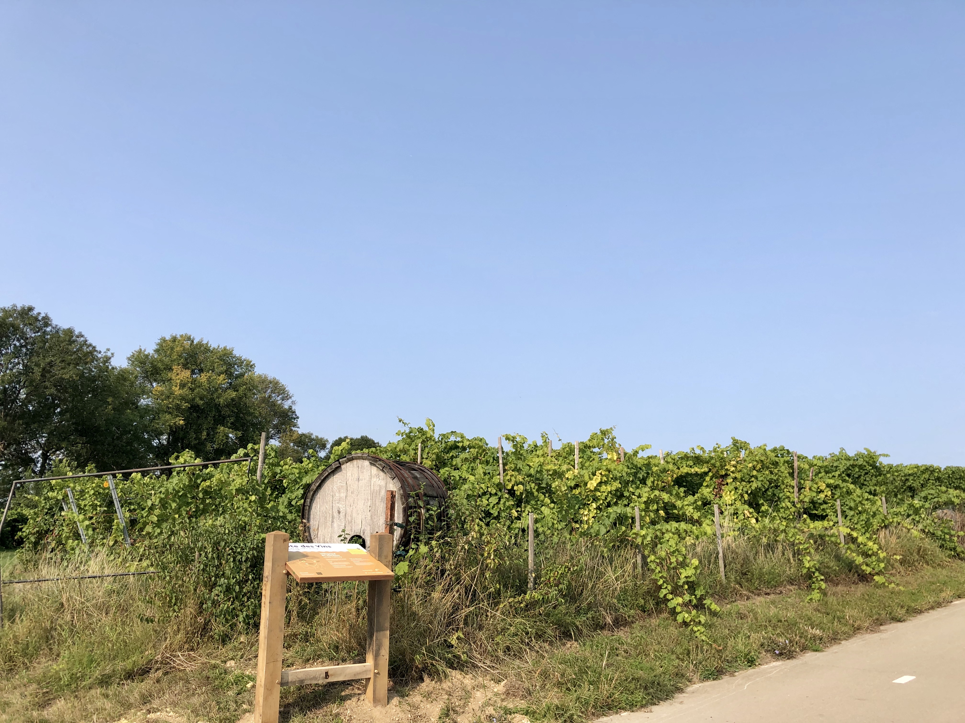 Route des Vins Land van Kalk Winthagen