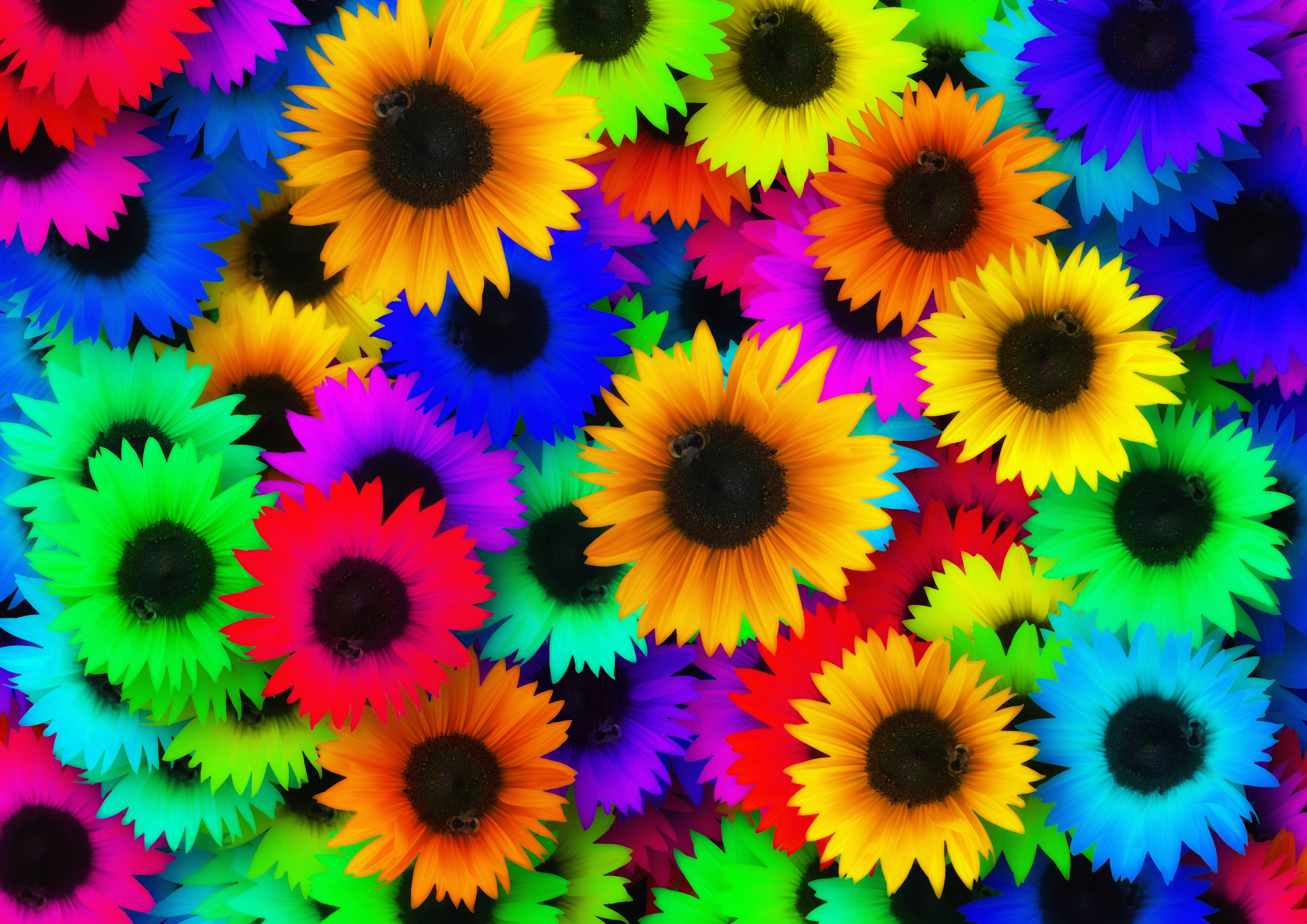 60s–70s Flower Power Music & Lotte Walda Live